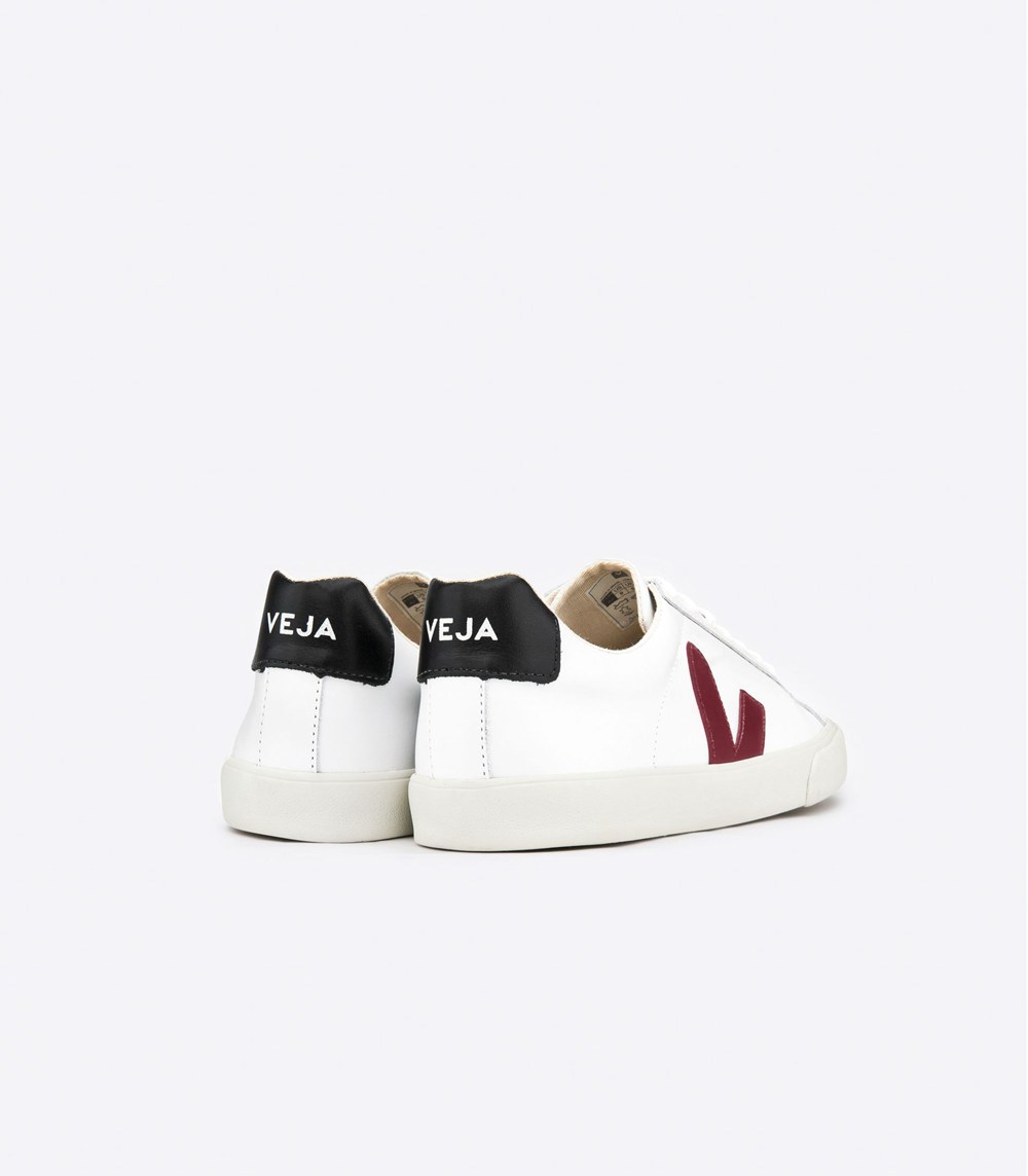 Veja Sneakers Womens - Esplar Leather - White - 6037HUINE